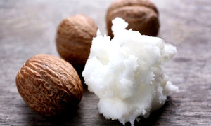 NO GUNK Ingredient’s Index: Shea Butter (Butyrospermum Parkii). 